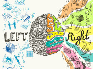Brain left analytical and right creative hemispheres sketch concept vector illustration